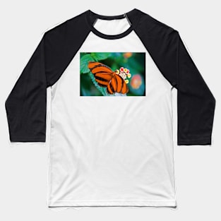 USA. Seattle. Pacific Science Center. Tropical Butterfly House. Baseball T-Shirt